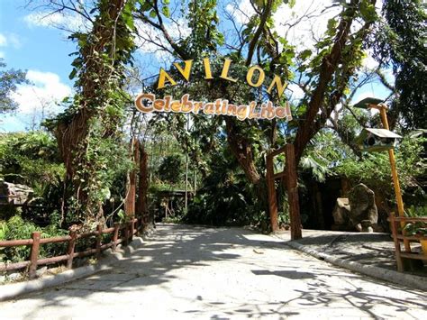 baguio zoos|Avilon Zoo.